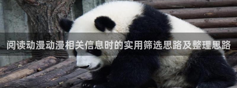 动漫共和国网站