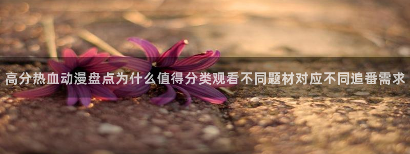免费动漫网站:高分热血动漫盘点为什么值得分类观看不同题材对应不同追番需求